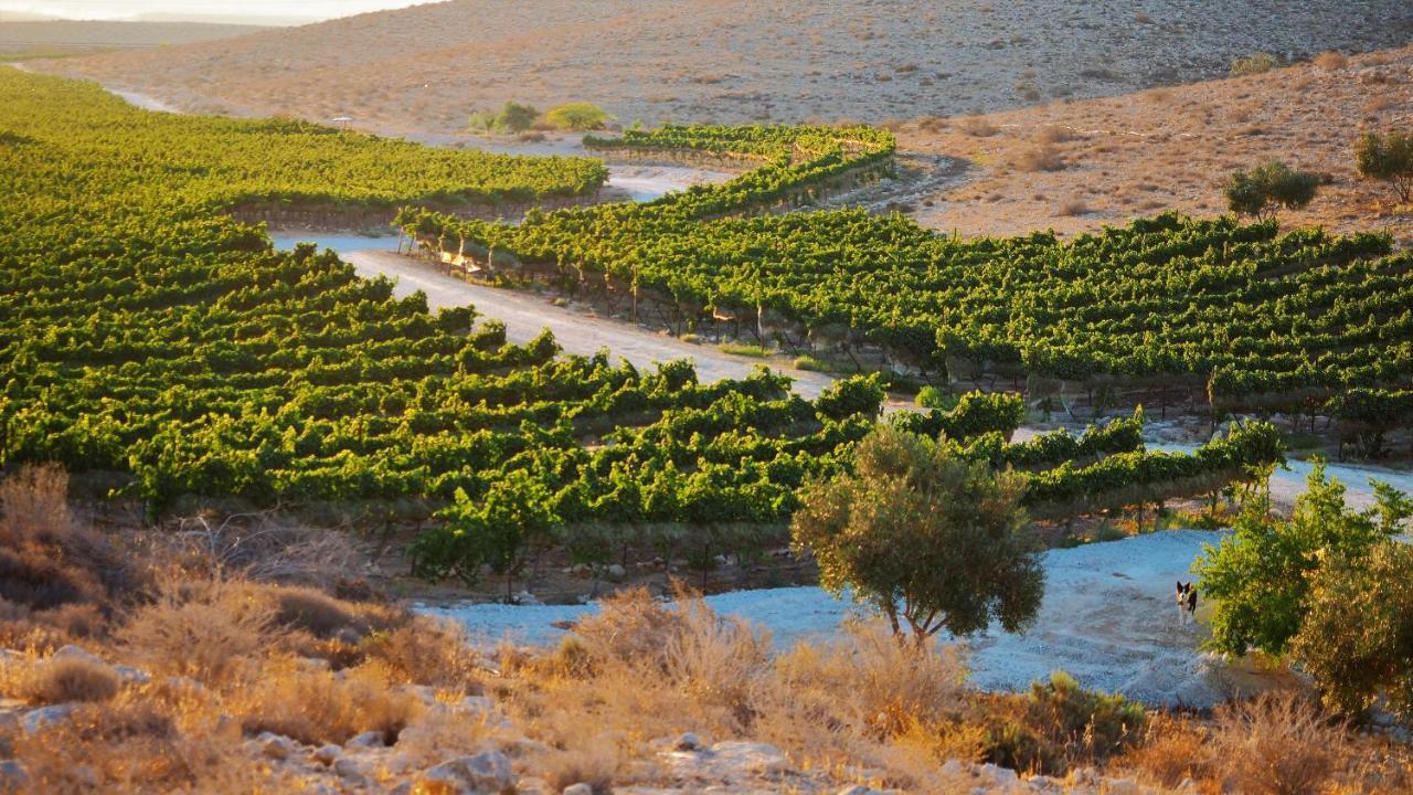 Desert Estate Carmey Avdat Midreshet Ben Gurion Exterior foto