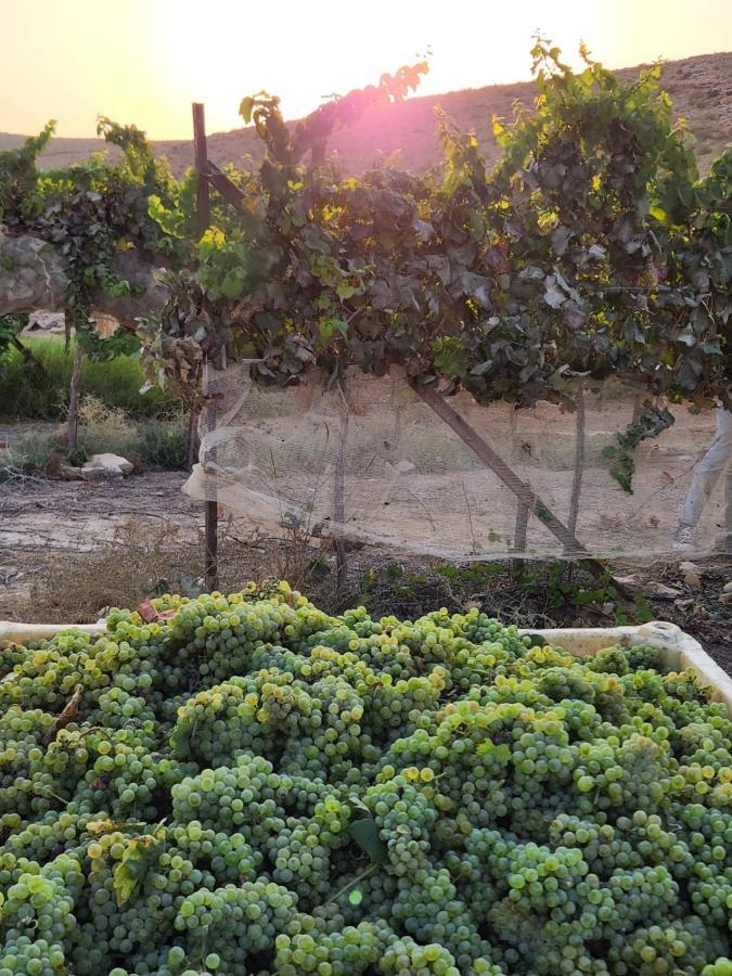 Desert Estate Carmey Avdat Midreshet Ben Gurion Exterior foto